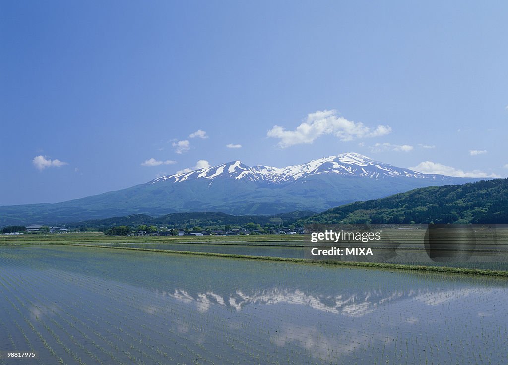Mount Chokai and Paddy Field, Yuza, Yamagata, Japan