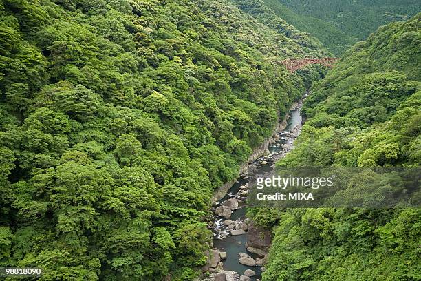 aso kitamukidani forest, minamiaso, kumamoto, japan - minamiaso kumamoto fotografías e imágenes de stock