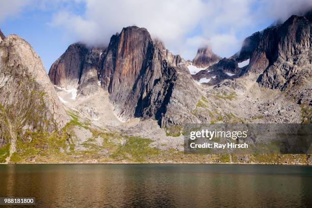 greenland - hirsch stock pictures, royalty-free photos & images