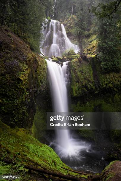 falls creek waterfall in victoria, australia. - bonham stock pictures, royalty-free photos & images