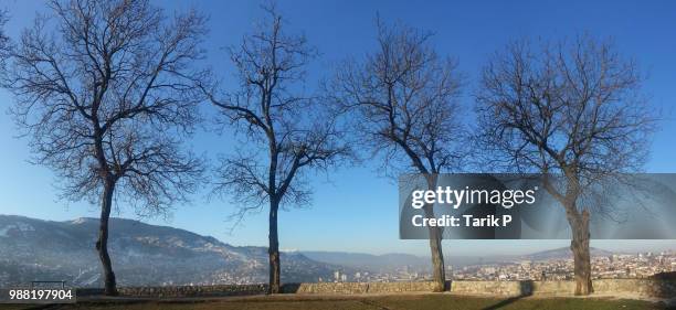 top sarajevo - tarik foto e immagini stock