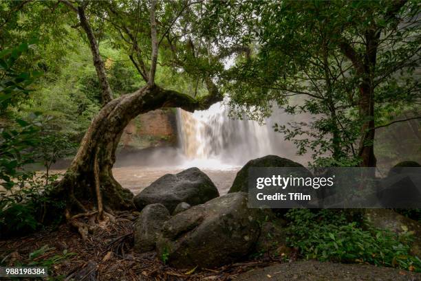 haew suwat waterfall (namtok haeo suwat) khao yai national park, nakhon ratchasima province, thailand - nakhon ratchasima stock pictures, royalty-free photos & images