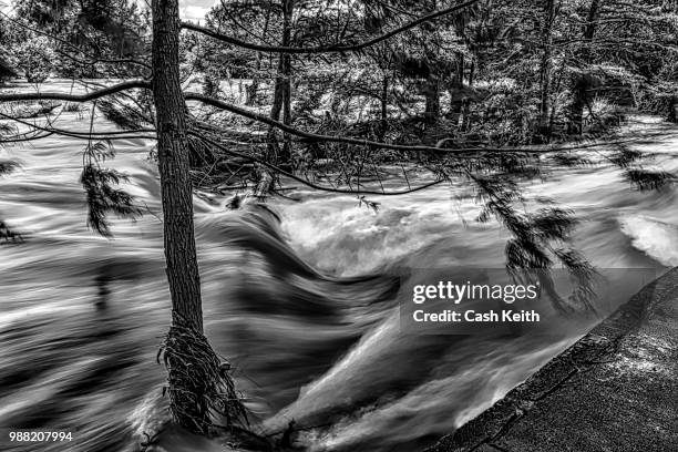 swift river - swift river stock pictures, royalty-free photos & images