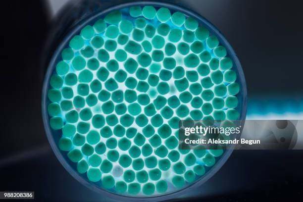 Inverted Time Loop 628 Inverted Loop Stock Photos, High-Res Pictures, and Images - Getty ...