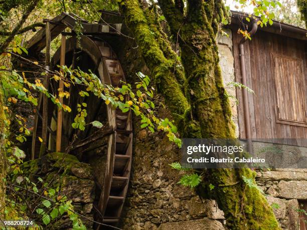 old watermill, a caniza, pontevedra province, galicia, spain - pontevedra province 個照片及圖片檔