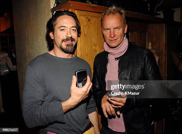 Robert Downey Jr. And Sting **EXCLUSIVE**