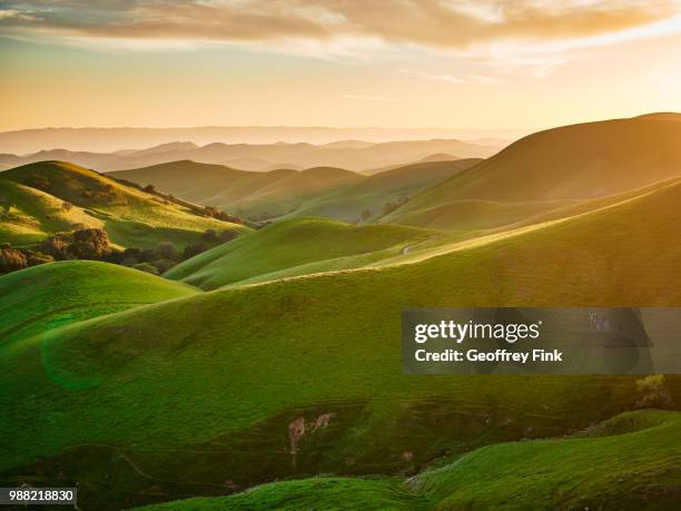 Cali Countryside 964 Oak Knoll California Stock Photos, High-Res Pictures, and Images ...