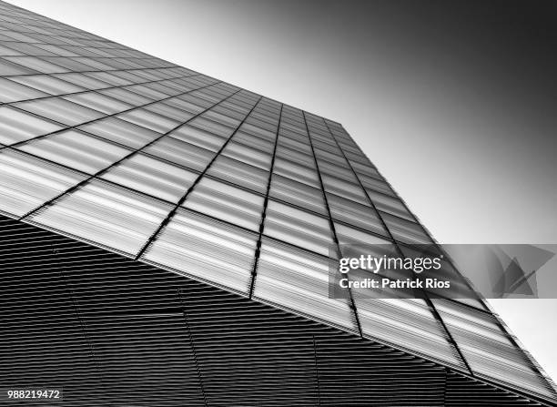 279 Patrick Rios Stock Photos, High-Res Pictures, and Images - Getty Images