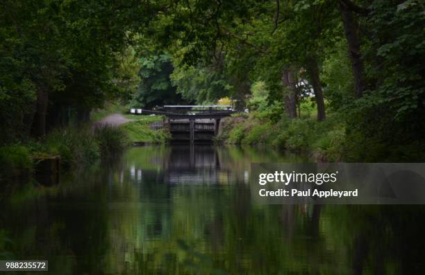 basingstoke canal deepcut 24 may 2015 057 - basingstoke 個照片及圖片檔