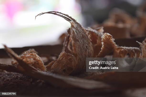 menuisier/carpenter - menuisier stockfoto's en -beelden