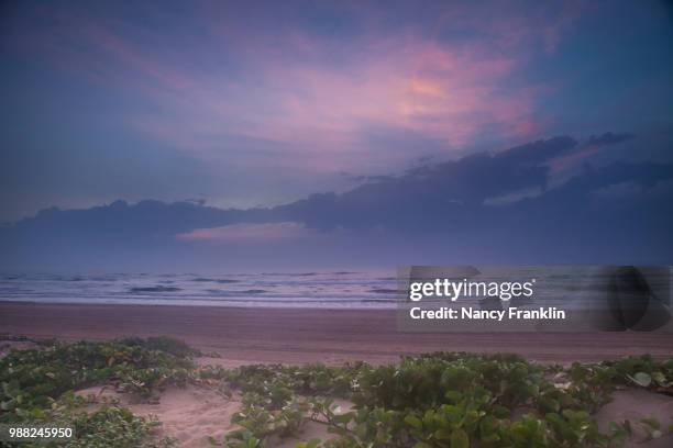 south padre sunrise - padre 個照片及圖片檔