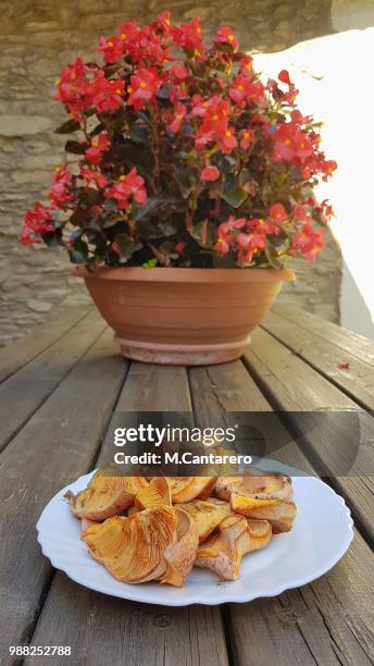 comida primavera - comida gourmet 個照片及圖片檔