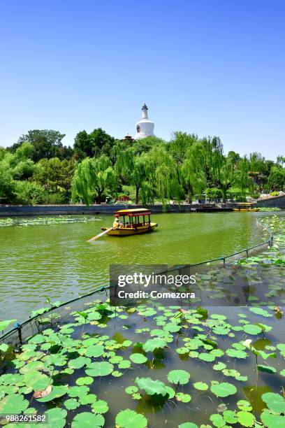 beihai park at sunny day, beijing, china - beihai park stockfoto's en -beelden