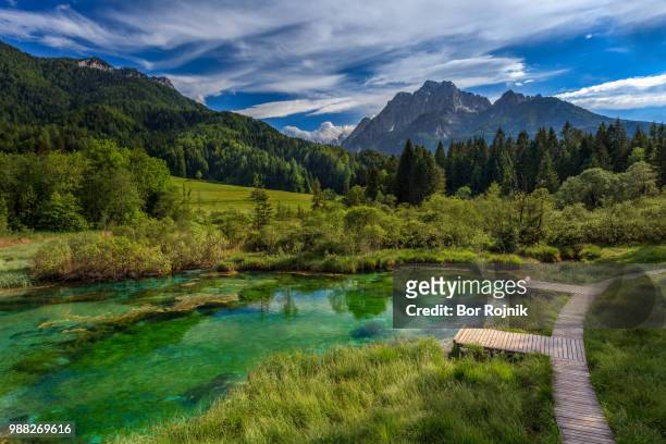 lake and forest in zelenci springs, kranjska gora, upper carniola, slovenia - julianische alpen stock-fotos und bilder
