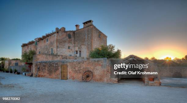 finca mallorca - finca stock pictures, royalty-free photos & images