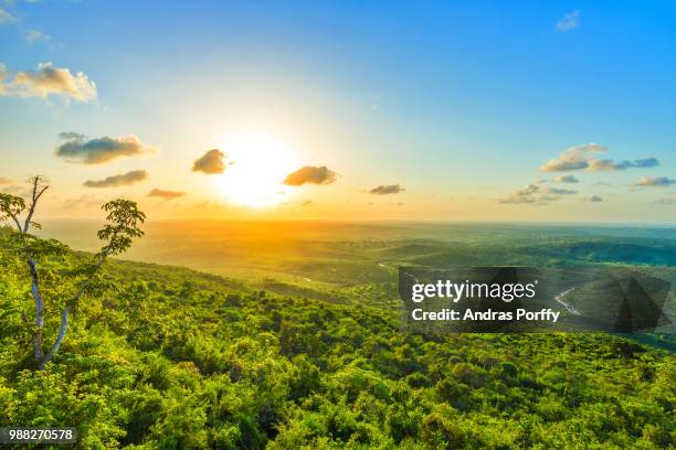 kwale,kenya - kenya landscape stock pictures, royalty-free photos & images