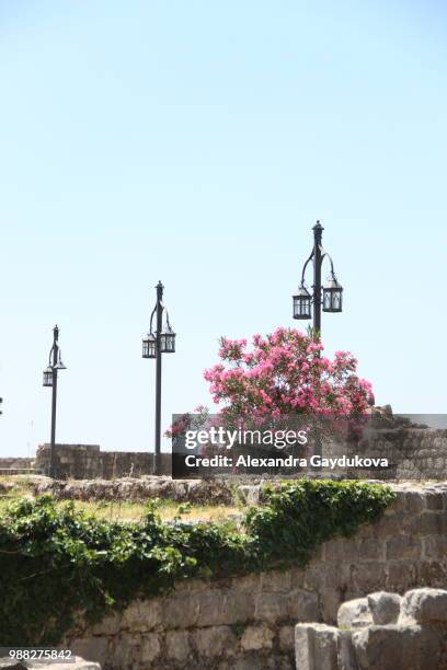 ulcinj,montenegro - ulcinj stock pictures, royalty-free photos & images