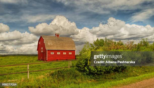 red barn - albena bildbanksfoton och bilder