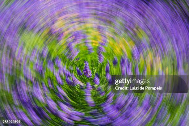 purple twister - twister stock-fotos und bilder