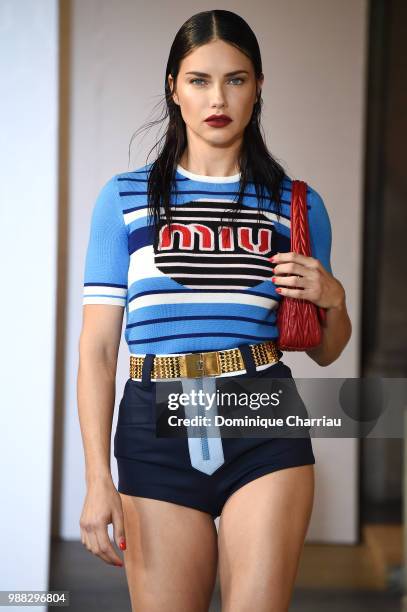 Adriana Lima walks the runway during Miu Miu 2019 Cruise Collection Show at Hotel Regina on June 30, 2018 in Paris, France.