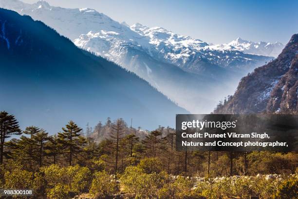 landscape of lachung north sikkim - sikkim stock-fotos und bilder