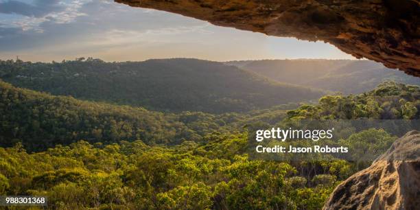 Tree Overhang 2,554 Tree Overhang Stock Photos, High-Res Pictures, and Images - Getty ...