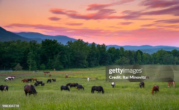 cades cove. - cades cove stock pictures, royalty-free photos & images