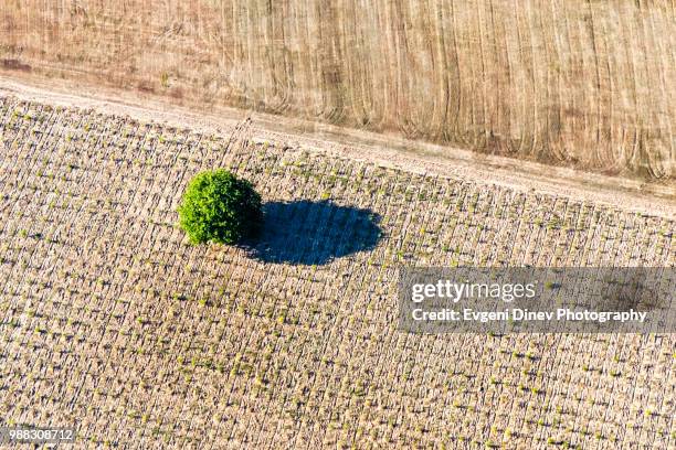 upper thracian plain, bulgaria - august 2012: aerial view of koprinka lake valley - evgeni dinev stock pictures, royalty-free photos & images