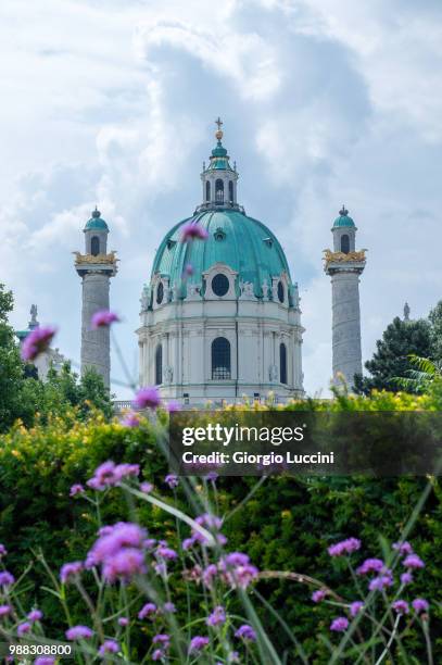 wien - karlskirche - karlskirche stock-fotos und bilder