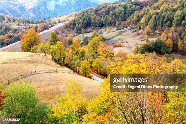 balkan mountains, bulgaria - october 2012: pastoral scene at autumn time - evgeni dinev stock pictures, royalty-free photos & images