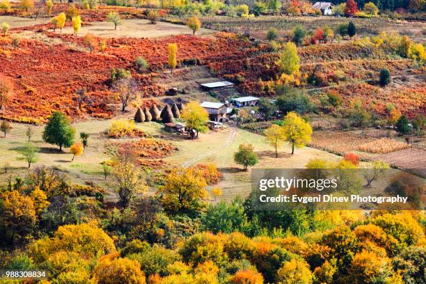 balkan mountains, bulgaria - october 2012: pastoral scene at autumn time - evgeni dinev stock pictures, royalty-free photos & images