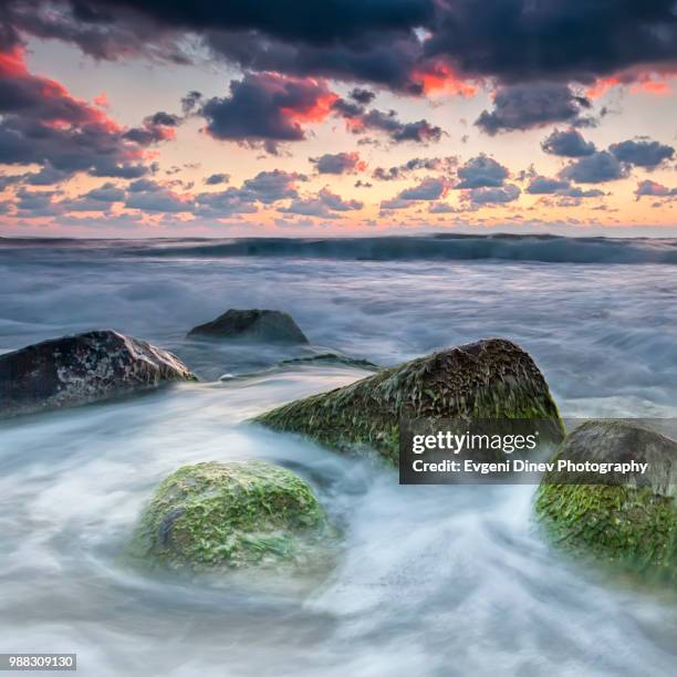 Irakli 40 Irakli Beach Stock Photos, High-Res Pictures, and Images - Getty Images