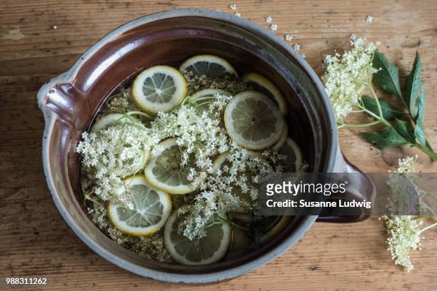 a jug of elderflower cordial. - elderberry stock-fotos und bilder