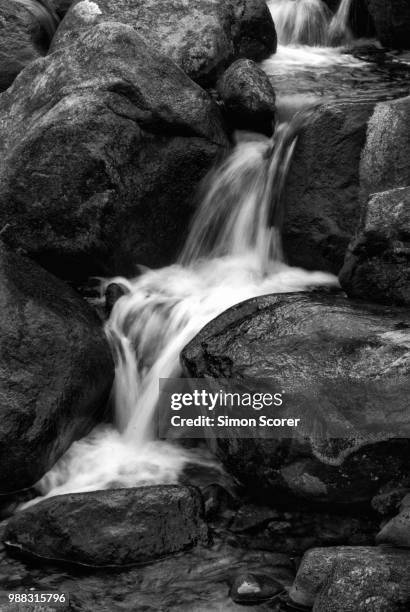 550 Rosa Brooks Stock Photos, High-Res Pictures, and Images - Getty Images