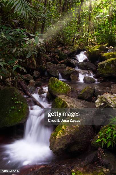 Puerto Rico Rivers Photos and Premium High Res Pictures - Getty Images
