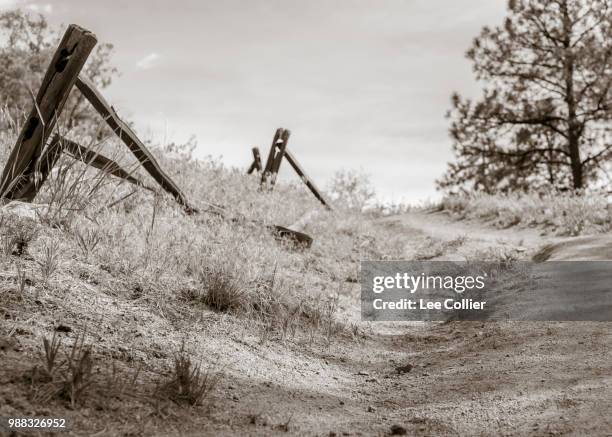 path - collier fotografías e imágenes de stock