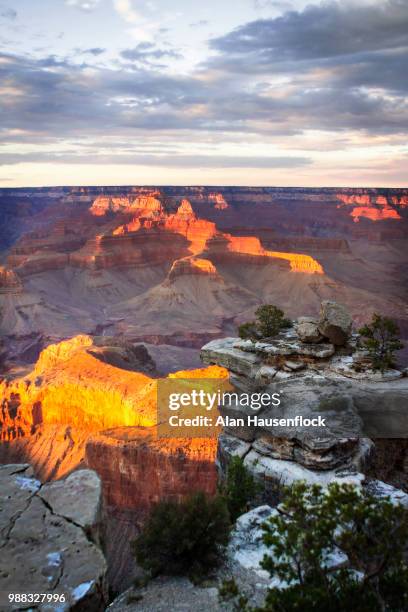 mather point sunset -6 - mather point stock pictures, royalty-free photos & images