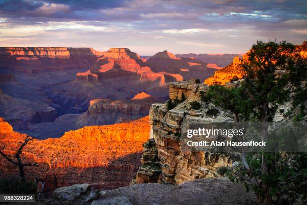 mather point sunset -1 - mather point stock pictures, royalty-free photos & images