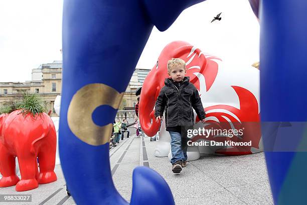 Young boy walks between decorative model Elephants as they stand in Trafalgar Square on May 4, 2010 in London, England. 260 of the decorative life...