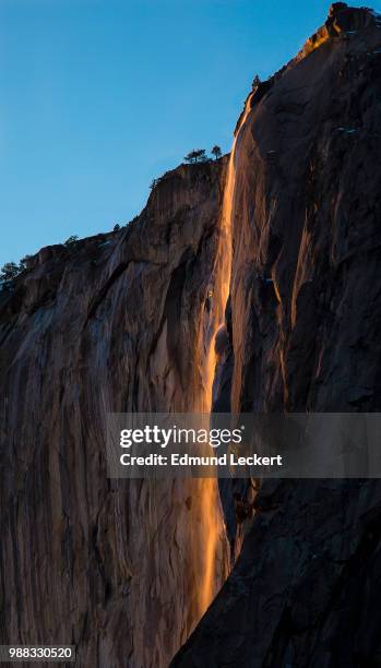 horsetail fall at sunset, yosemite national park, california - leckert 個照片及圖片檔