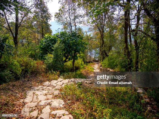 annapurna region, nepal - kathmandu tal stock-fotos und bilder