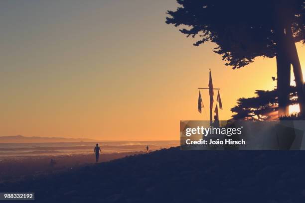 beach sunset - hirsch stock pictures, royalty-free photos & images