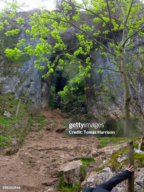 dovedale - harrison wood stock pictures, royalty-free photos & images