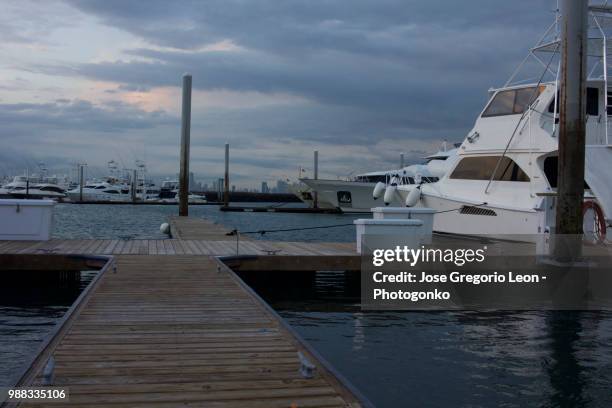 ancón,panama - sunny leon stock pictures, royalty-free photos & images