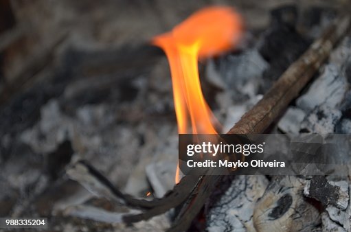 Arde Arde
