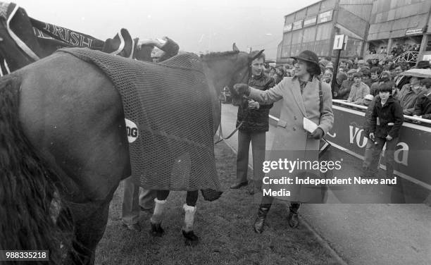 Irish Grand National at Fairyhouse, .