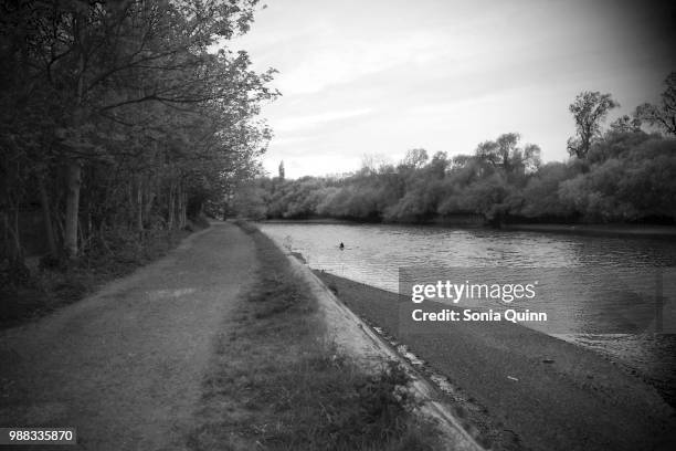 thames path and river - thames path stock pictures, royalty-free photos & images