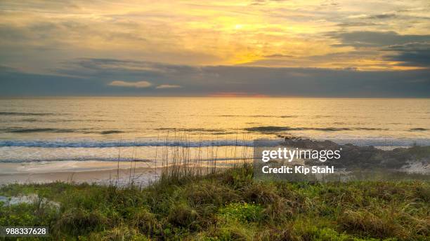 coquina beach sunrise - kip imagens e fotografias de stock