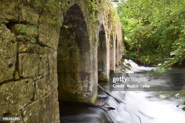 pont du gril - gril stock pictures, royalty-free photos & images