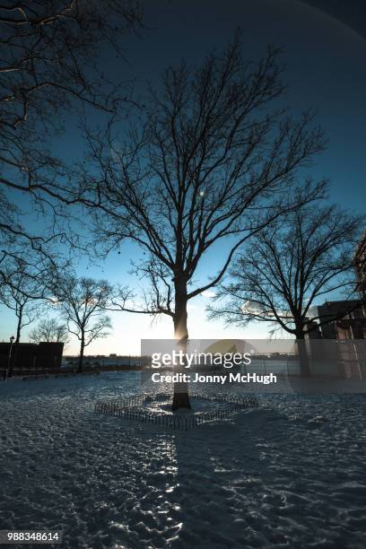 frosty park - hugh forrest stock pictures, royalty-free photos & images